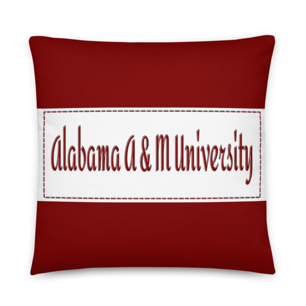 Alabama A & M University - Image 2