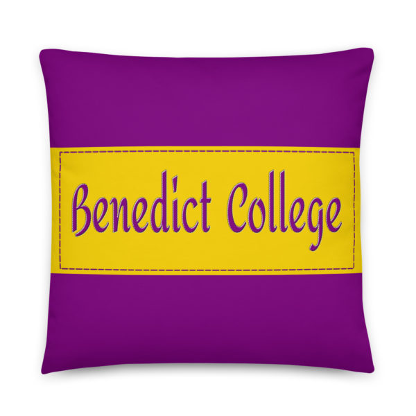 Benedict College - Image 2