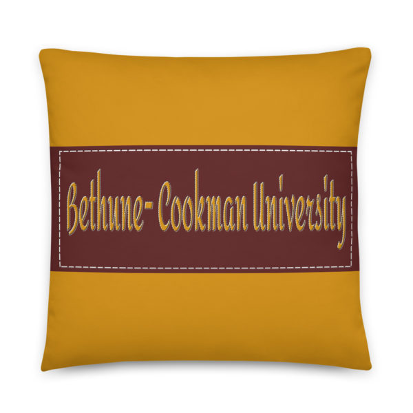 Bethune-Cookman University - Image 2