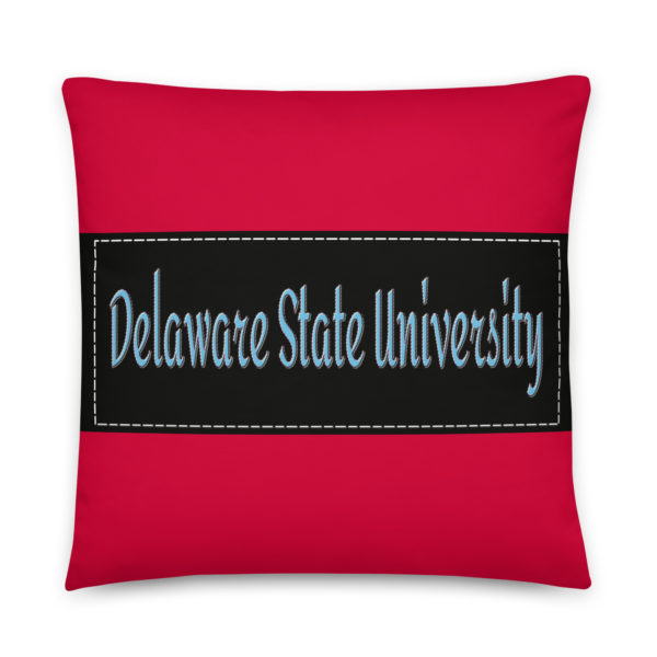 Delaware State University - Image 2