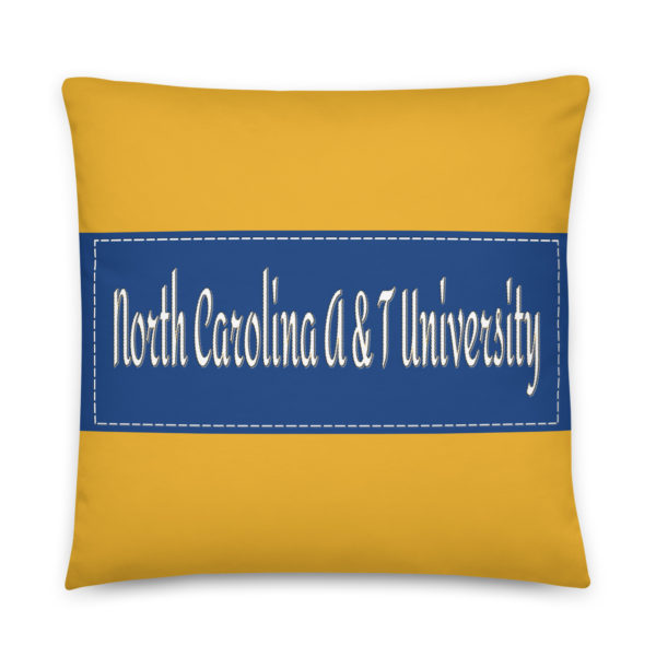 North Carolina A & T University - Image 2