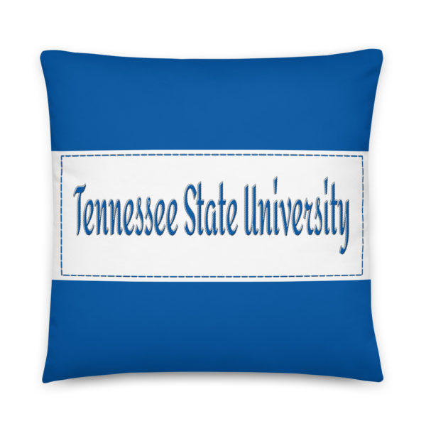 Tennessee State University - Image 2