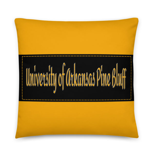 University of Arkansas at Pine Bluff - Image 2